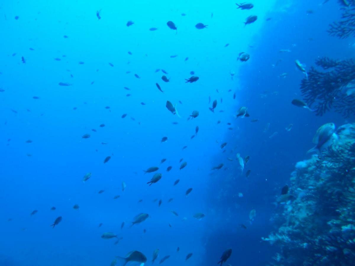 Cala Dogana Guest House Levanzo Ngoại thất bức ảnh